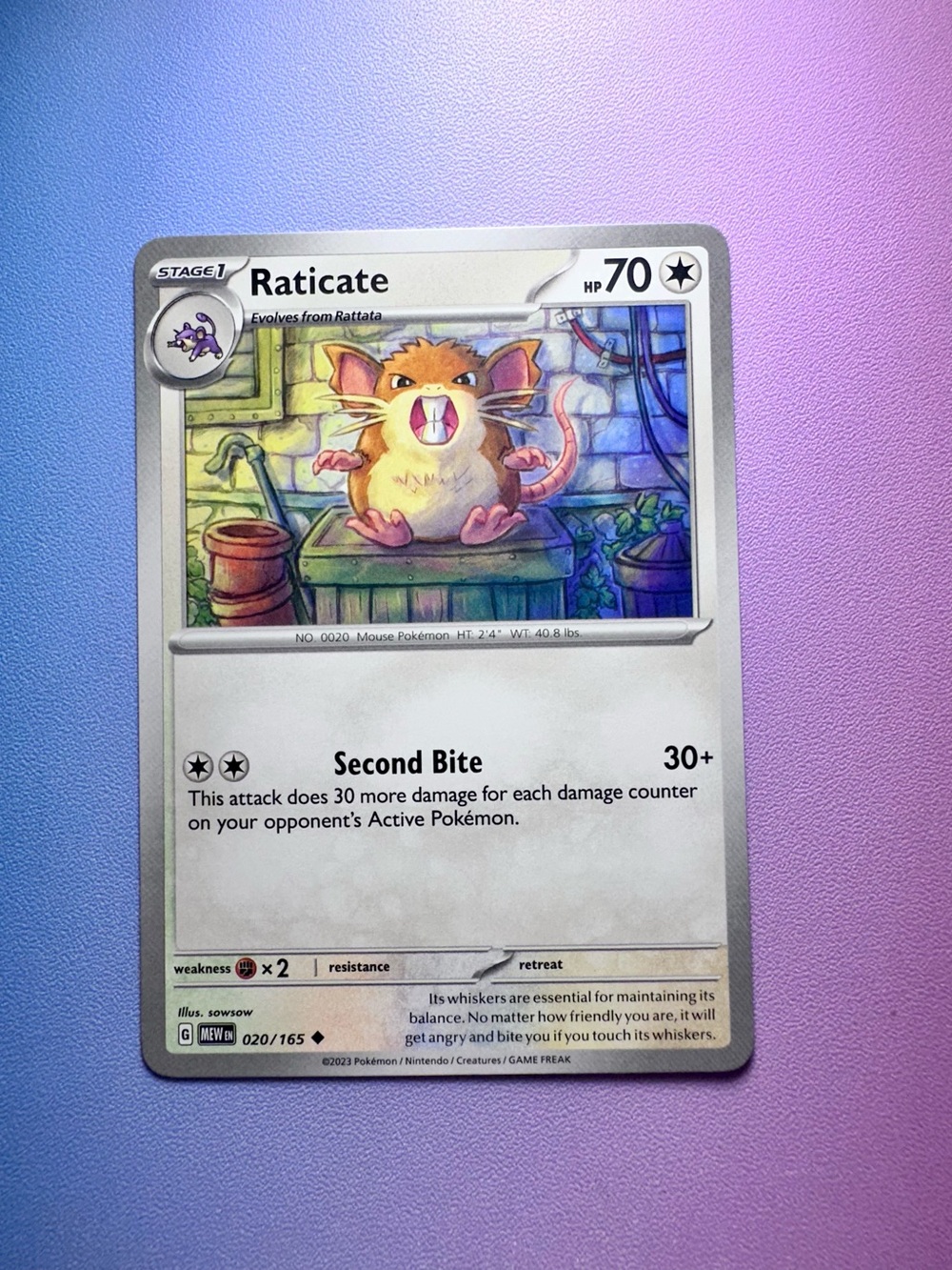raticate - 020/165 (uncommon) — pokemon: 151